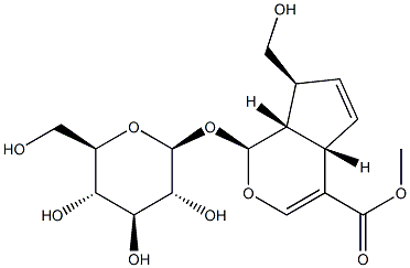 (1S)-1-(β-D-글루코피라노실옥시)-1,4aα,7,7aα-테트라히드로-7α-히드록시메틸시클로펜타[c]피란-4-카르복실산메틸에스테르