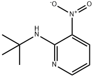 N-tert-butyl-3-nitropyridin-2-amine Struktur