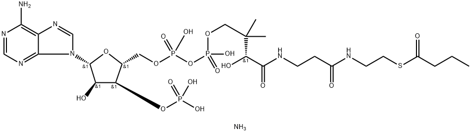 butanoyl CoenzyMe A (sodiuM salt)|BUTANOYL COENZYME A (SODIUM SALT);04:0 COENZYME A