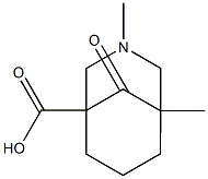 3-Azabicyclo[3.3.1]nonane-1-carboxylicacid,3,5-dimethyl-9-oxo-(9CI) Struktur