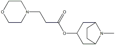 motropin Structure
