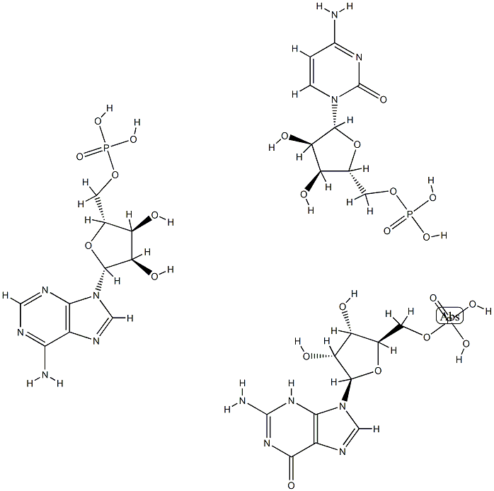 poly(G,A).poly(C) Struktur