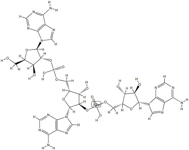 xylo 2-5A core Structure