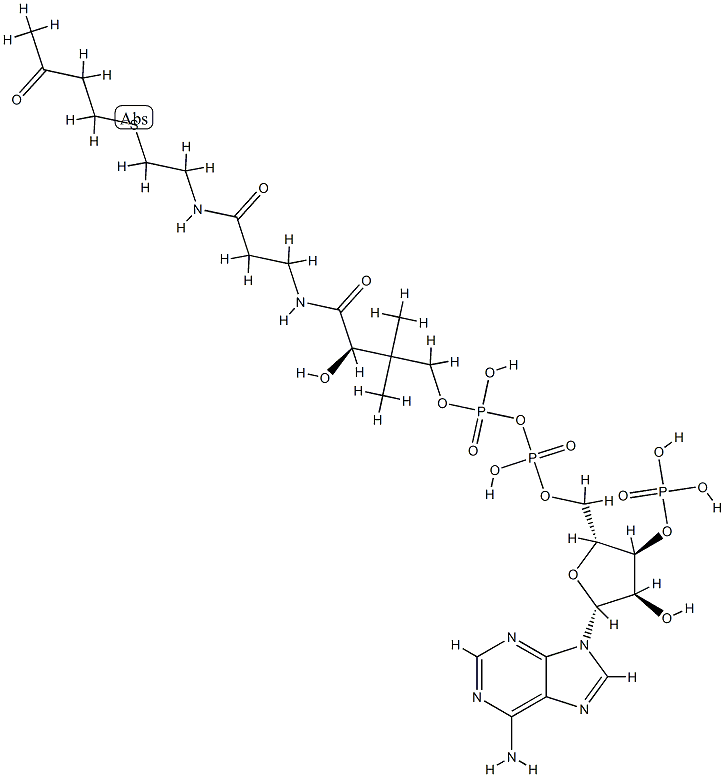 S-(3-oxobutyl)coenzyme A 结构式
