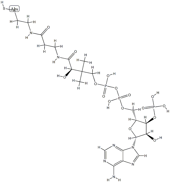 coenzyme A persulfide Structure