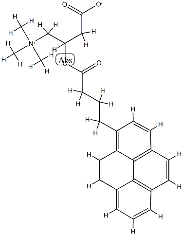 (1-Pyrenebutyryl)carnitine Structure