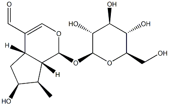(1S)-1α-(β-D-グルコピラノシルオキシ)-1,4aα,5,6,7,7aα-ヘキサヒドロ-6α-ヒドロキシ-7α-メチルシクロペンタ[c]ピラン-4-カルボアルデヒド 化学構造式
