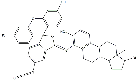 4-amino-N-fluorescein isothiocyanate-17-estradiol 结构式