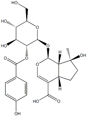 2′-p-Hydroxybenzoyl mussaenosidic acid Struktur