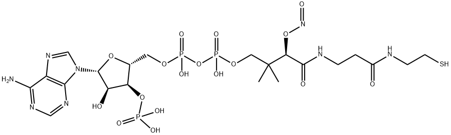 S-ニトロソCoA 化学構造式