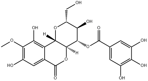 4-O-没食子酰岩白菜素 结构式
