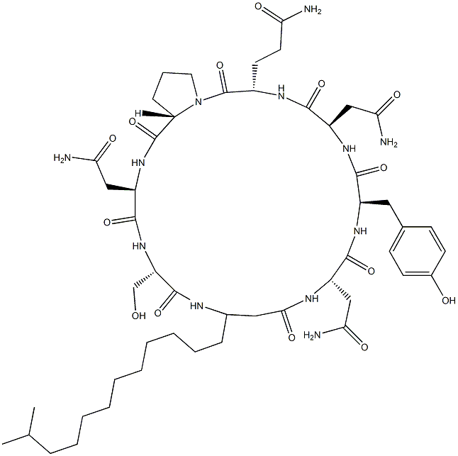 シクロ[D-Tyr-D-Asp(NH2)-L-Glu(NH2)-L-Pro-D-Asp(NH2)-L-Ser-3-(11-メチルドデシル)-βAla-L-Asp(NH2)-] 化学構造式