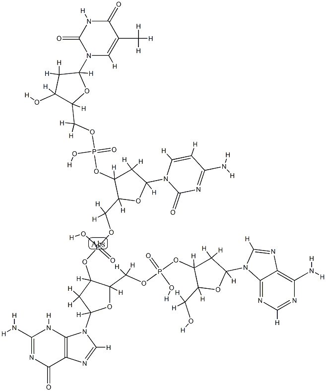 deoxy(thymidylyl-cytidylyl-guanylyl-adenylic acid) Structure