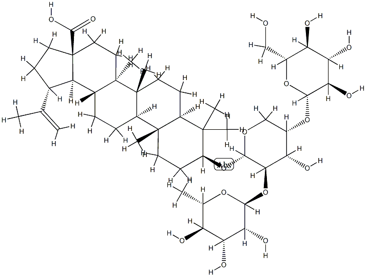  化学構造式