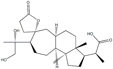 Lancifodilactone F Struktur