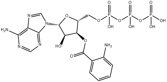 3'-O-anthraniloyl ATP|