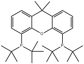 9,9-ジメチル-4,5-ビス(ジ-TERT-ブチルホスフィノ)キサンテン 化学構造式