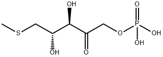 (3,4-dihydroxy-5-methylsulfanyl-2-oxo-pentoxy)phosphonic acid 结构式