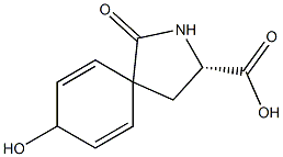 delta-(spiro-4-hydroxy-2,5-cyclohexadienyl)pyroglutamate Structure