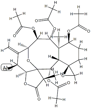 praelolide Struktur