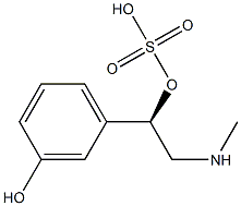 Phenylephrine-3-O-sulfate|3-O-硫酸肾上腺素