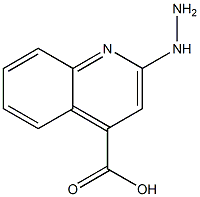 89267-29-8 4-Quinolinecarboxylicacid,2-hydrazino-(9CI)
