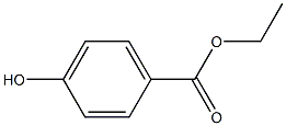 CATALASE Structure