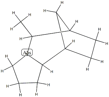 6,9-Methano-1H-pyrrolo[1,2-a]azepine,octahydro-5-methyl-(9CI) 结构式
