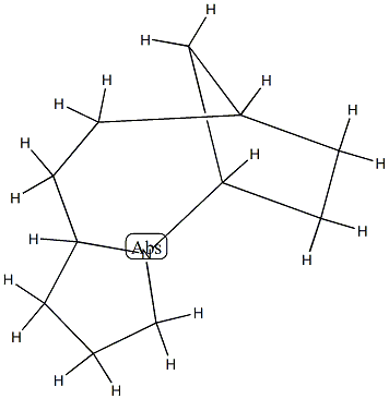 5,8-Methanopyrrolo[1,2-a]azocine,decahydro-(9CI) 结构式