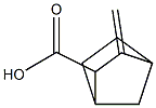 2-Norbornanecarboxylicacid,3-methylene-(7CI) 结构式