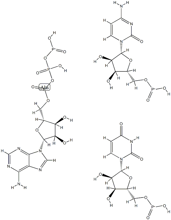 adenosine triphosphate-uridine monophosphate cytidine monophosphate Structure