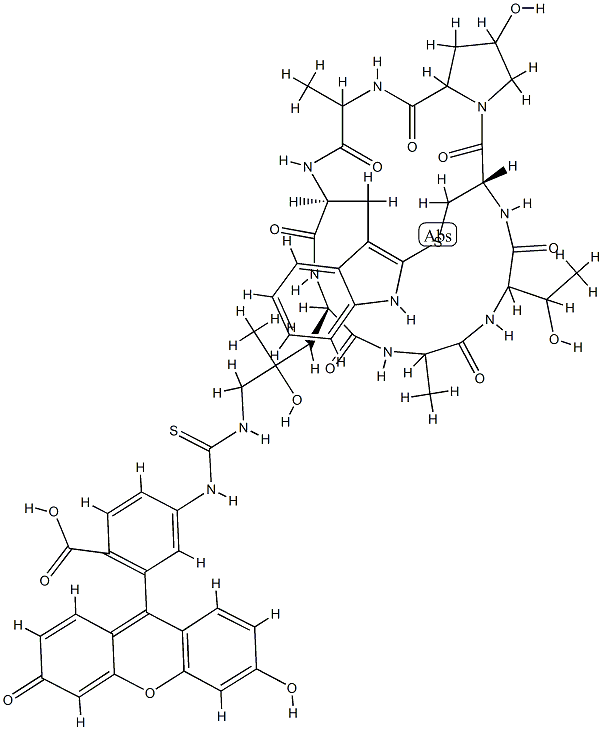荧光素,鬼笔环肽 结构式