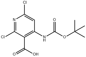 4-((叔丁氧羰基)氨基)-2,6-二氯烟酸, 929288-17-5, 结构式