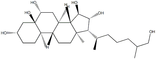 5α-コレスタン-3β,5,6β,15α,16β,26-ヘキサオール 化学構造式