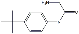 2-amino-N-(4-tert-butylphenyl)acetamide Structure