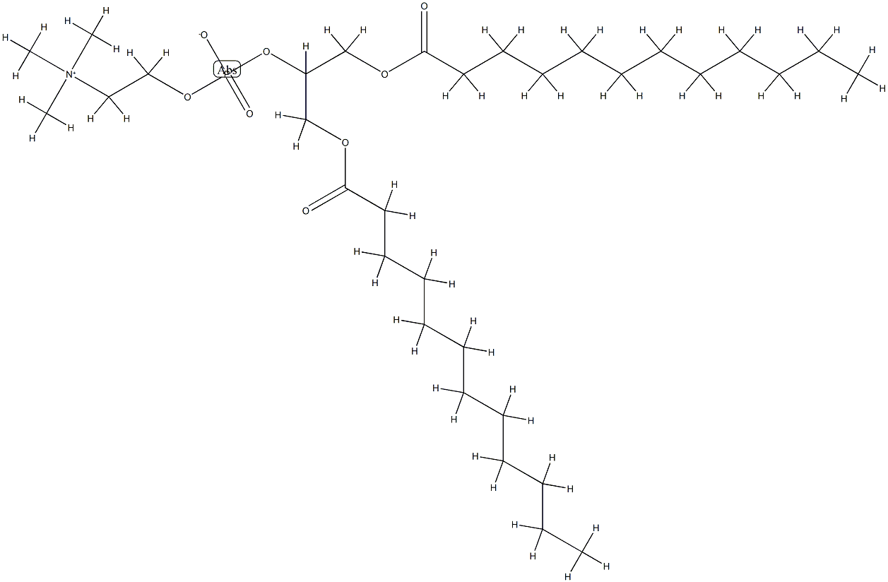 1,3-Dilauroyl-glycero-2-phosphocholine 化学構造式