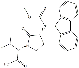 N-FMOC-FREIDINGER'S LACTAM Struktur