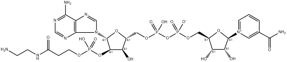 2'-O-(N-(2-aminoethyl)carbamoylethyl)phosphono-NAD 结构式