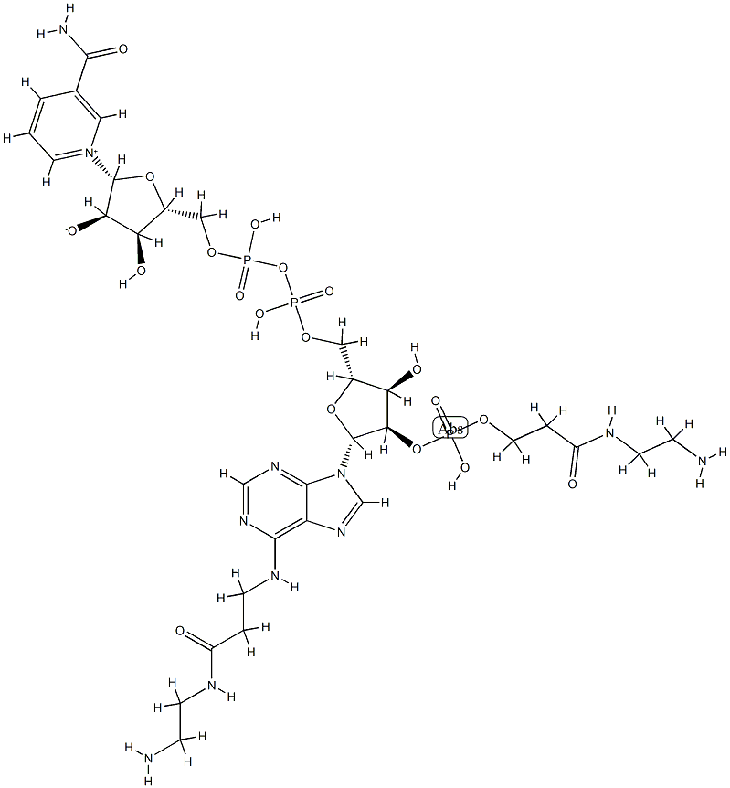 2'-(O)-(N-(2-aminoethyl)carbamoylethyl)phosphono-N(6)-(N-(2-aminoethyl)carbamoylethyl)NAD 结构式