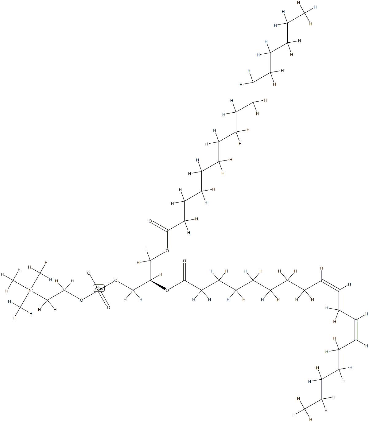 磷脂酰胆碱(大豆)