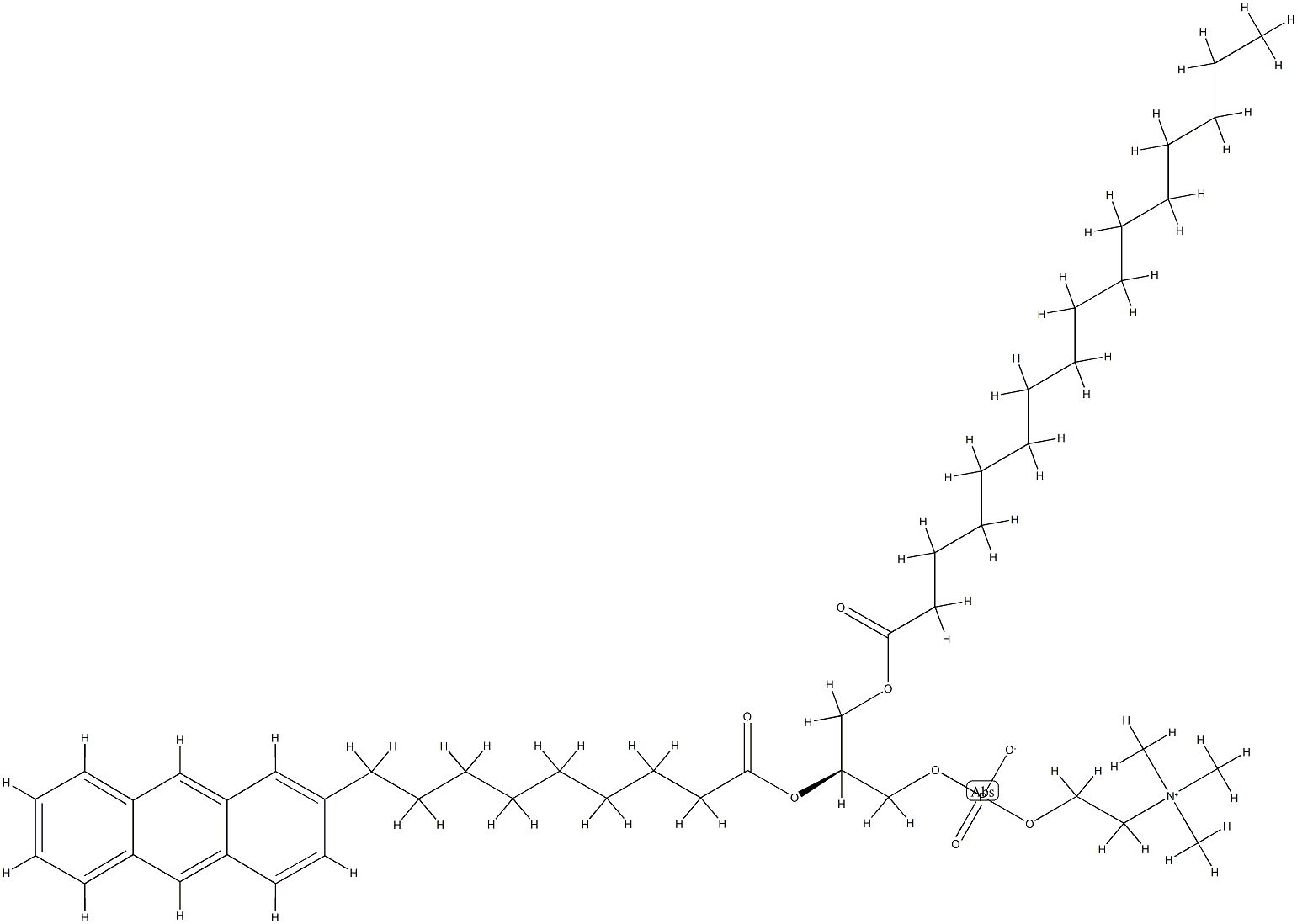 1-palmitoyl-2-(9-(2-anthryl)nonanoyl)glycero-3-phosphocholine 结构式