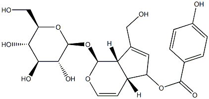 6-O-p-ヒドロキシベンゾイルアウクビン 化学構造式