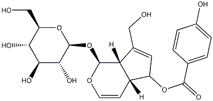 6-O-p-Hydroxybenzoylaucubin