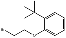 1-(2-bromoethoxy)-2-tert-butylbenzene Structure