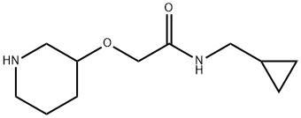 1020986-04-2 N-(cyclopropylmethyl)-2-(piperidin-3-yloxy)acetamide