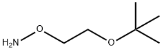 O-(2-tert-butoxyethyl)hydroxylaMine Structure