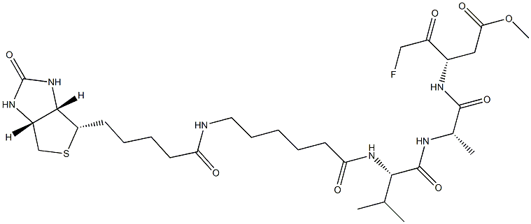 CASPASE INHIBITOR I, BIOTIN CONJUGATE 化学構造式