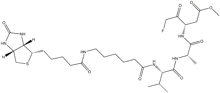 CASPASE INHIBITOR I, BIOTIN CONJUGATE|BIOTIN-Z-VAD-FMK