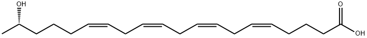 19(S)-HETE 化学構造式