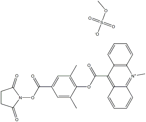 115853-74-2 吖啶酯DMAE-NHS